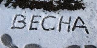 21 квітня на Черкащині очікується сильний мокрий сніг, уночі заморозки