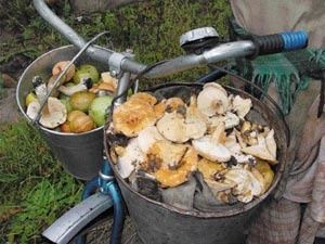 �� ��������� 60-���� ����� �������� �������