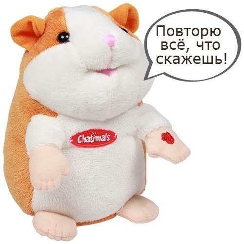 ��������� �����-����������