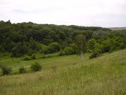 � ��������� ��� ����������� ����� �� ������ �����-��������� 