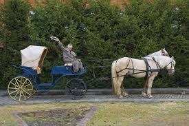 ������ ���, ������!