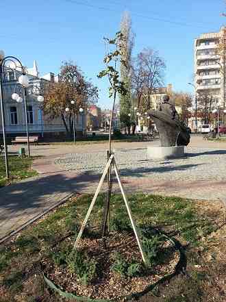 � �������� ������������ ����� ���� ���'������ ��������� 