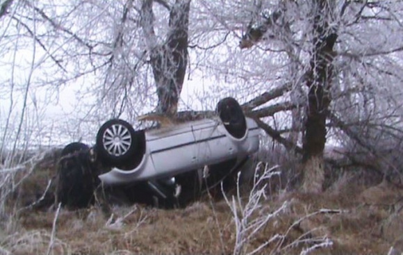 � ���������� ������ ������������ "�����". �� ������ �������� 