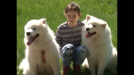 � ��������� ������ ������ �������� ��������� ����� "������ �����" 