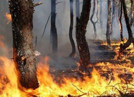 � ������� ���� �� ��������� ������� 65 ������ ����� 