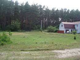 Черкаська РДА незаконно виділила земельну ділянку лісового фонду у приватну власність у Свидівку, - прокуратура