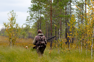 3 листопада на Черкащині відкриють сезон полювання на парнокопитних та хутрових диких тварин 