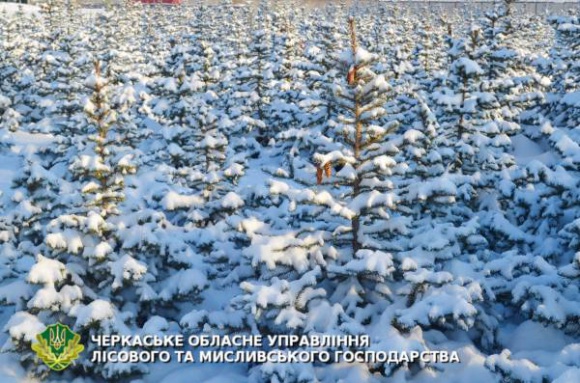 ˳������ ��������� ��������� �� ������ ����� 80 ����� ��������� ������ �� �����