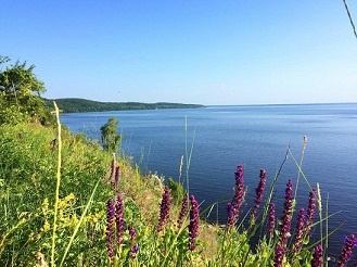 � ����� ��������� ��������� �� ��������� ������������� ���������� ����� "��������������������" 