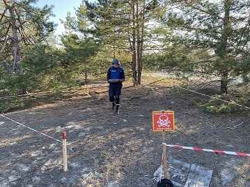 Неподалік хутора Чубівка в лісі місцеві знайшли 11 снарядів часів Другої світової 