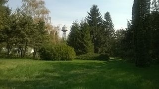 �� ����������� ������ ��� �� ���������� ��� 
