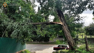 �� ��������� ����� �������� ������� ��������� ������, - ���� 