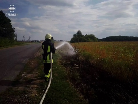 За минулу добу на Черкащині ліквідовано 4 пожежі сухої рослинності, - ДСНС 