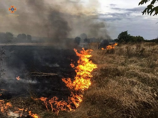 ДСНС: За 4 жовтня на Черкащині ліквідовано 6 пожеж на відкритих територіях 