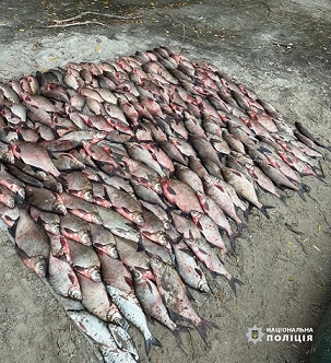 У Золотоніському районі судитимуть браконьєра, який наловив риби на понад 2 млн. грн. 