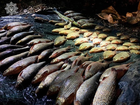 На Дніпрі в районі Канева затримано браконьєра. Наловив риби на 100 тис. грн.