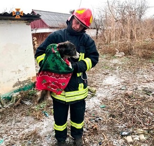 В Уманському районі надзвичайники врятували собаку, який впав у 5-метрову яму 