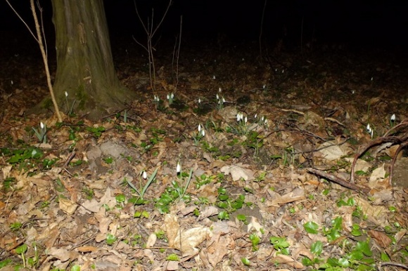 �� �������� �������� �� �������, �� ������ ������ ���������, �������� �� ������� ����� 