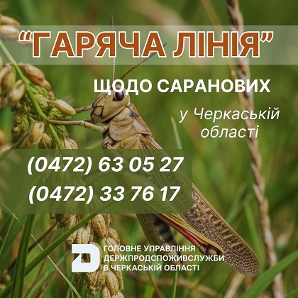 � ��������� ������ �������� ������� ����� � ������ ��������� ���������