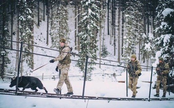 ������ ������� �������� ������ �� ��� �������������� ����