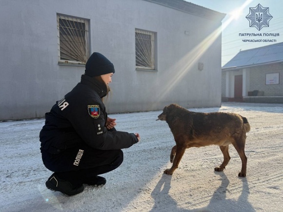 �������� ���������� ��������� �������� �������� �������� ������ ������ 