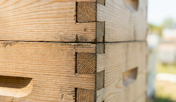 ������� "�������� ������": ���� ������� �������� �������� ��� ���������� �����