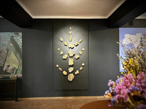 � ���������� ����������� �������� � ����������� ������������� ����� ����� 