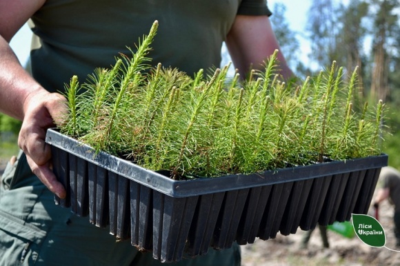 ֳ�� ����� � ��������� ������ �������� �������� ����� 630 ������� ������ ��� 