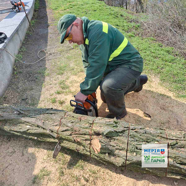 � �������� ����� ���������� ����� �� ������, - �������� ����� 