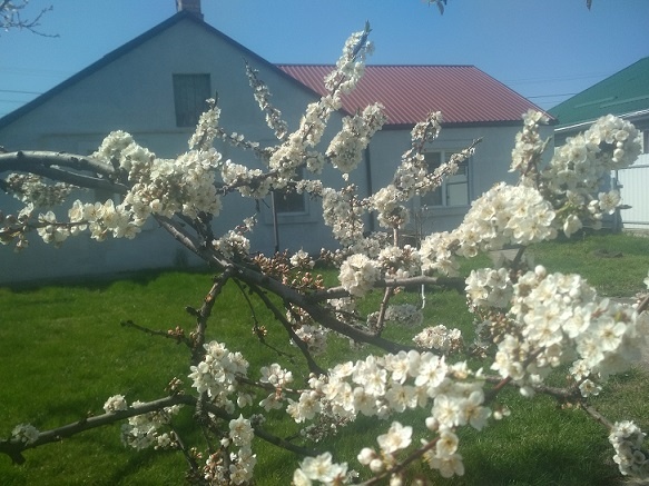 14 �����, �������. ������...