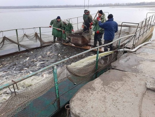 ���-������ ������� ������, �� ���볿������ ������������ ������� �� "���� ������������" 