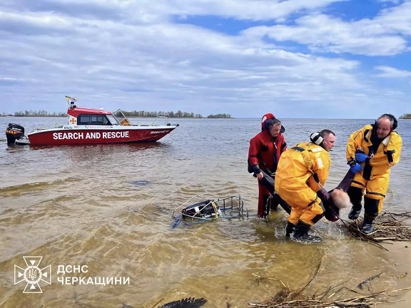 � ����� � ������ ������ ������� ������, - ���� 