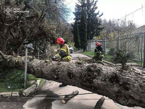 �� ���� 26 ����� �� ��������� ������������ �������� 45 �����, ��������� ����� ������