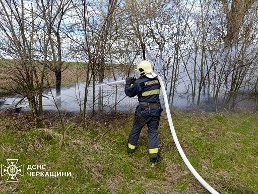 �� ���� 28 ����� �� ��������� ��������� 5 ����� ���� ����������, - ���� 