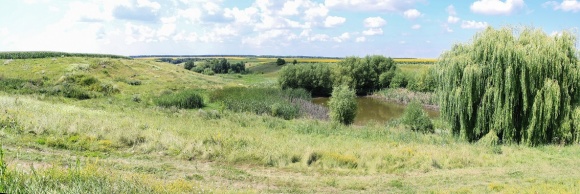 �� �������� ���������� �������, ���� ����� �������� �� ������� ��������� 