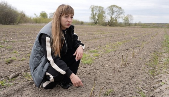 ����� ������ ��������� �� ��������� ����������� ���������� ����� 