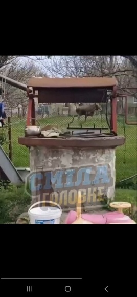 � ��� �� ������� ���� ���� 