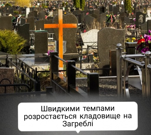 � ��� �������� �������� �������� ������������������������, ��� "������ ������������" 