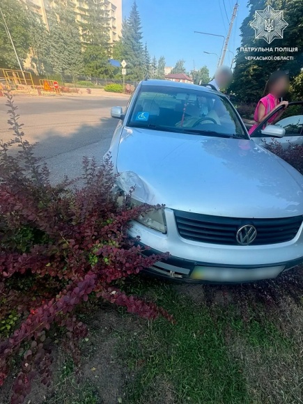 �� ���������� � �������� ������������ Hyundai �� Volkswagen
